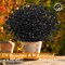 Black Artificial Flowers, 12 Bundles – No-Fade Faux Plants for Halloween, Outdoor & Indoor Decoration